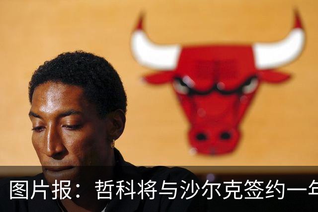 图片报：哲科将与沙尔克签约一年，年薪130万欧元